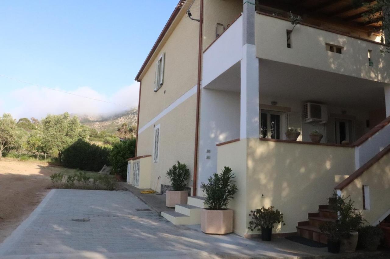 Casa Oleandri Vila Golfo Aranci Exterior foto